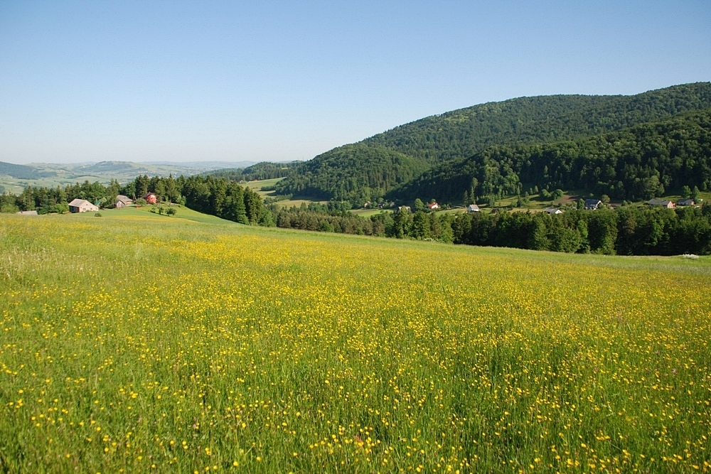 Beskid Grybowski