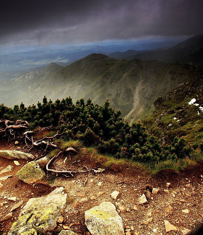 Tatry