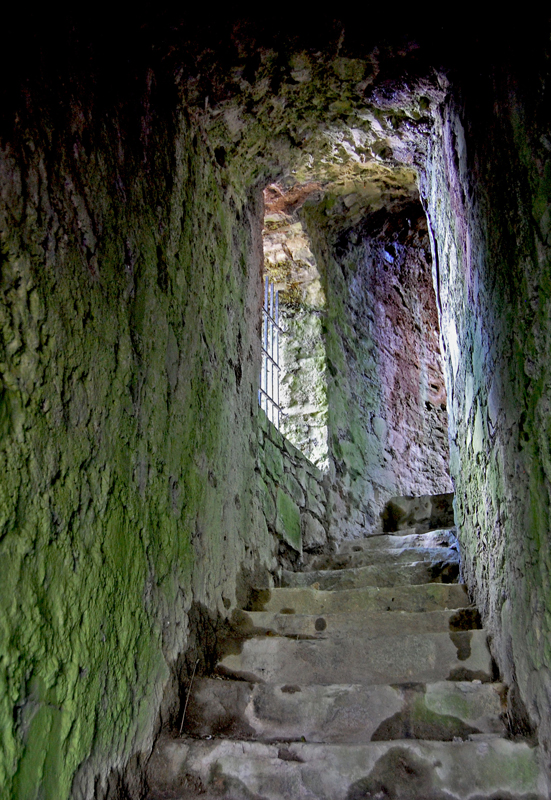 Roscommon Castle...