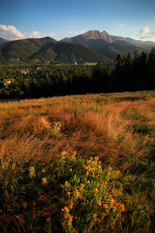 Zakopane