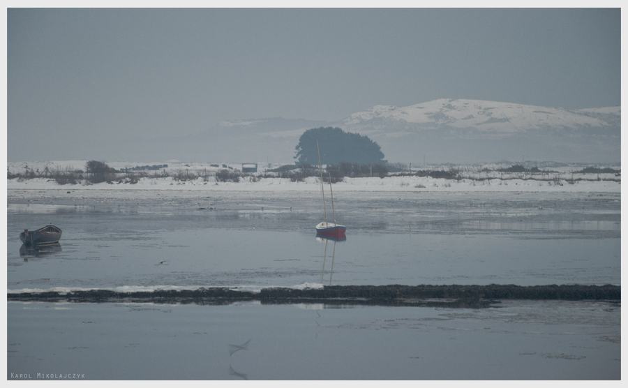 Bull Island