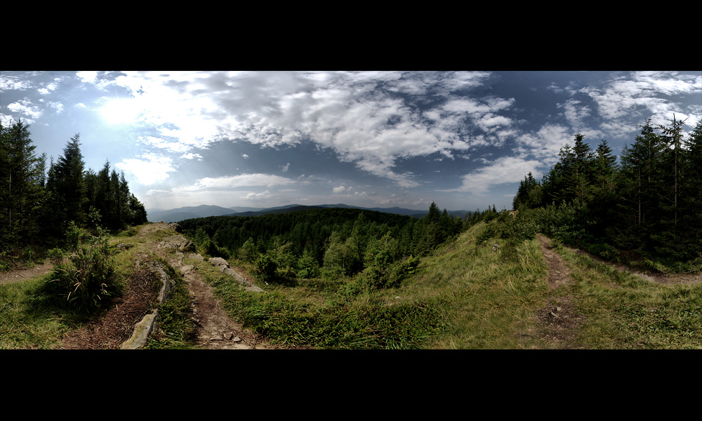 Panorama z Dwernika Kamienia