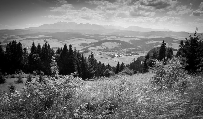 Powrót w Pieniny