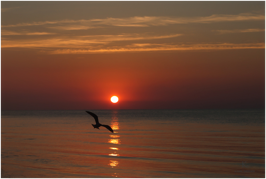 Wschód Słońca Sopot ...