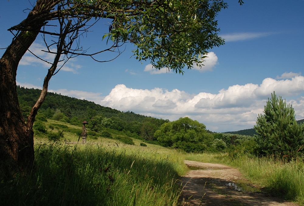 NIEZNAJOWA (Beskid Niski)