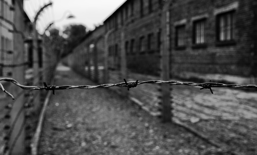 Auschwitz - cd...