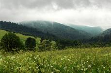 Bieszczady