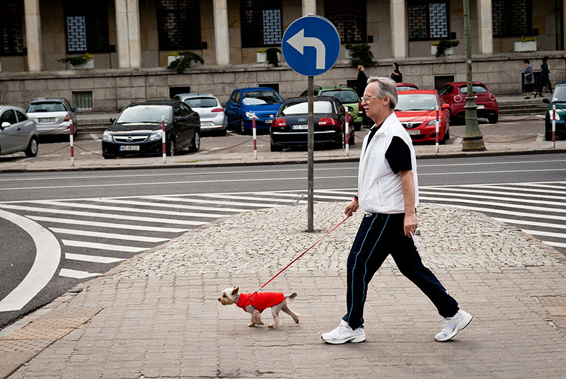 ..naa łów  naa łów  towarzyszu mój ...