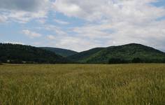 Brzezowa (Beskid Niski)