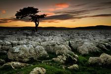 Limestone Rocks - Yorkshire UK