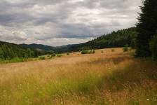 Z Przełęczy Lipka (Beskid Niski)