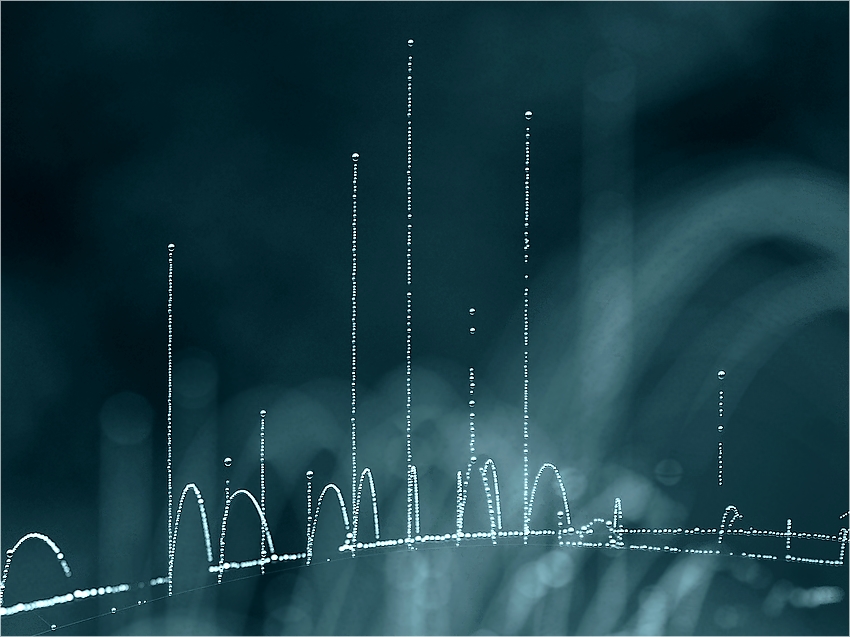 EKG