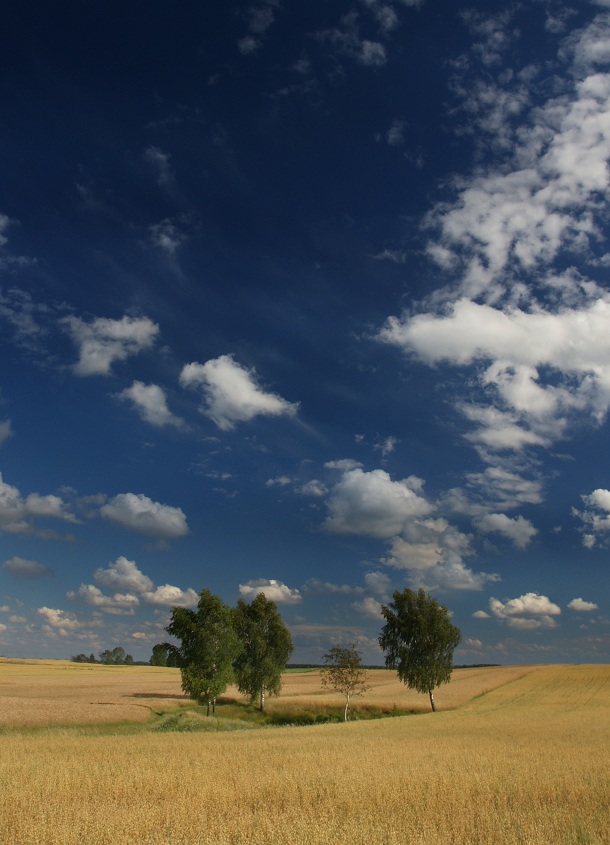 Zaborski Park Krajobrazowy