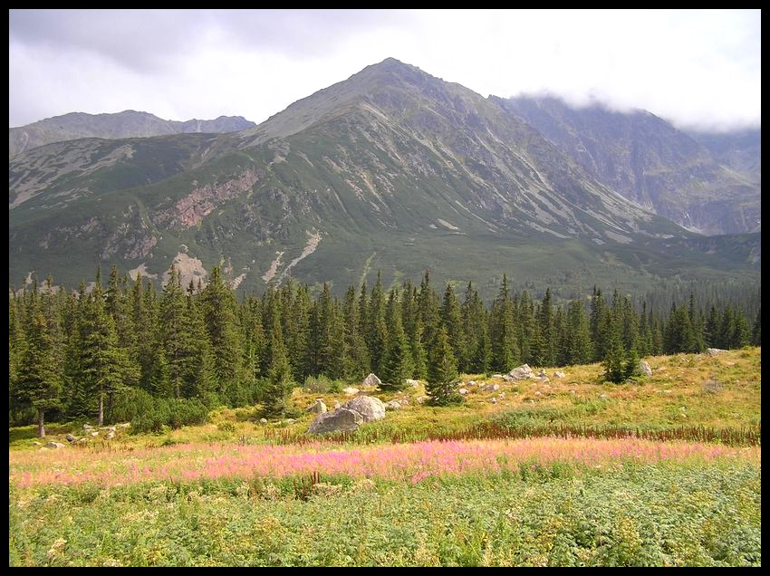 Tatry latem