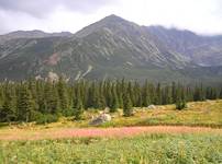 Tatry latem