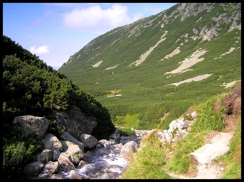 Tatry latem