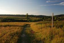 BENIOWA (Bieszczady)