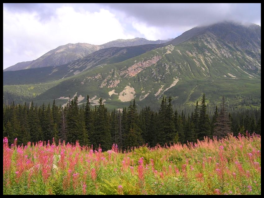 Tatry latem