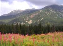 Tatry latem