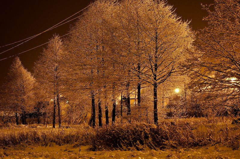 Nocny pejzaż