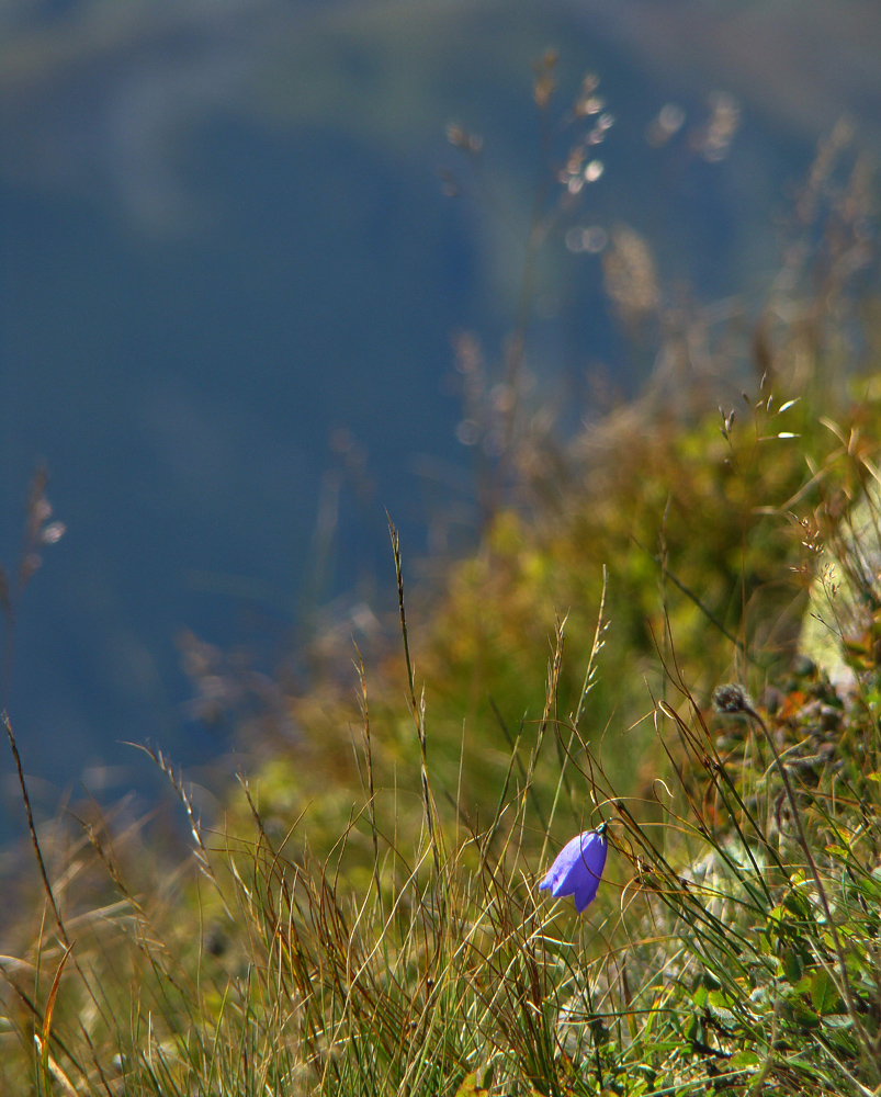 Tatry