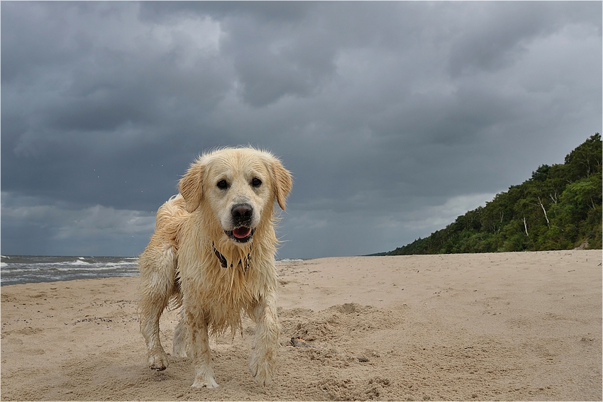 Na plaży