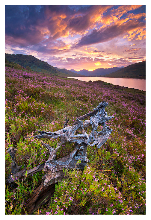 Loch Arklet