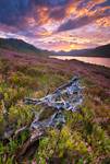 Loch Arklet