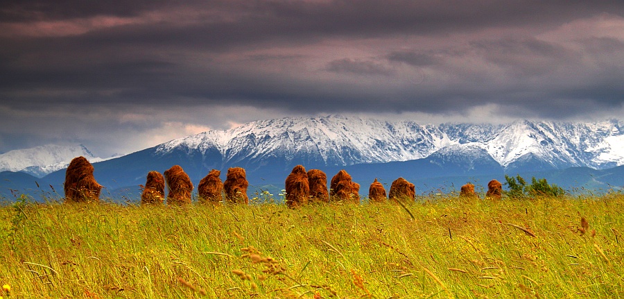 Tatry