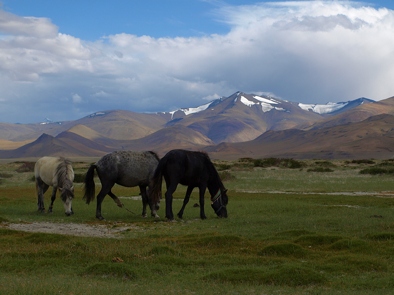 Ladakh