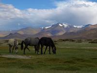 Ladakh