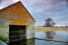 Lough Ennell...