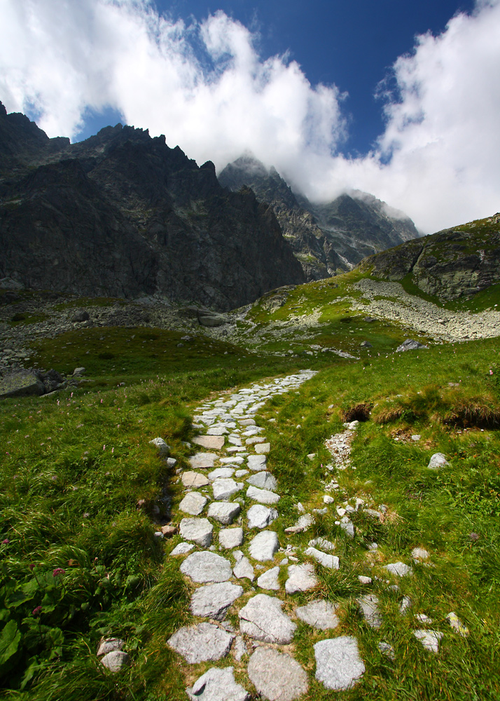 Wielicki ogród (Tatry słowackie)