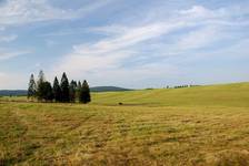 KRZYWA (Beskid Niski)