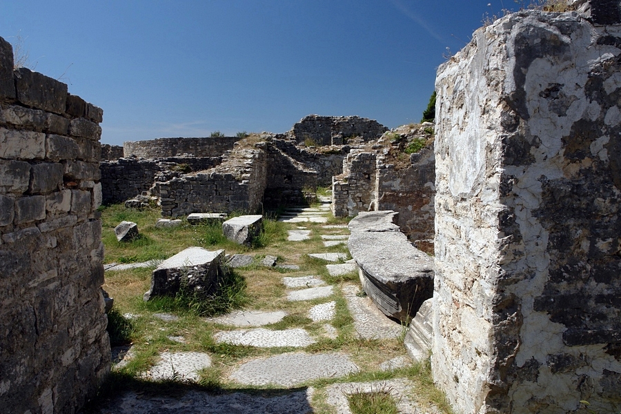 Salona