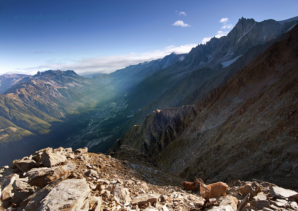 photorav znad Chamonix pozdrawia