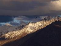 Pangong