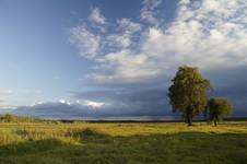 Widok za płotem