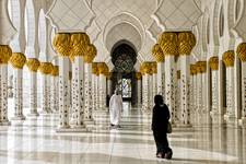 Sheikh Zayed bin Sultan Al Nahyan Mosque