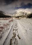 Tatry