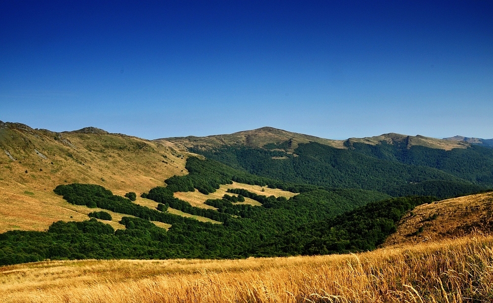 Bieszczady