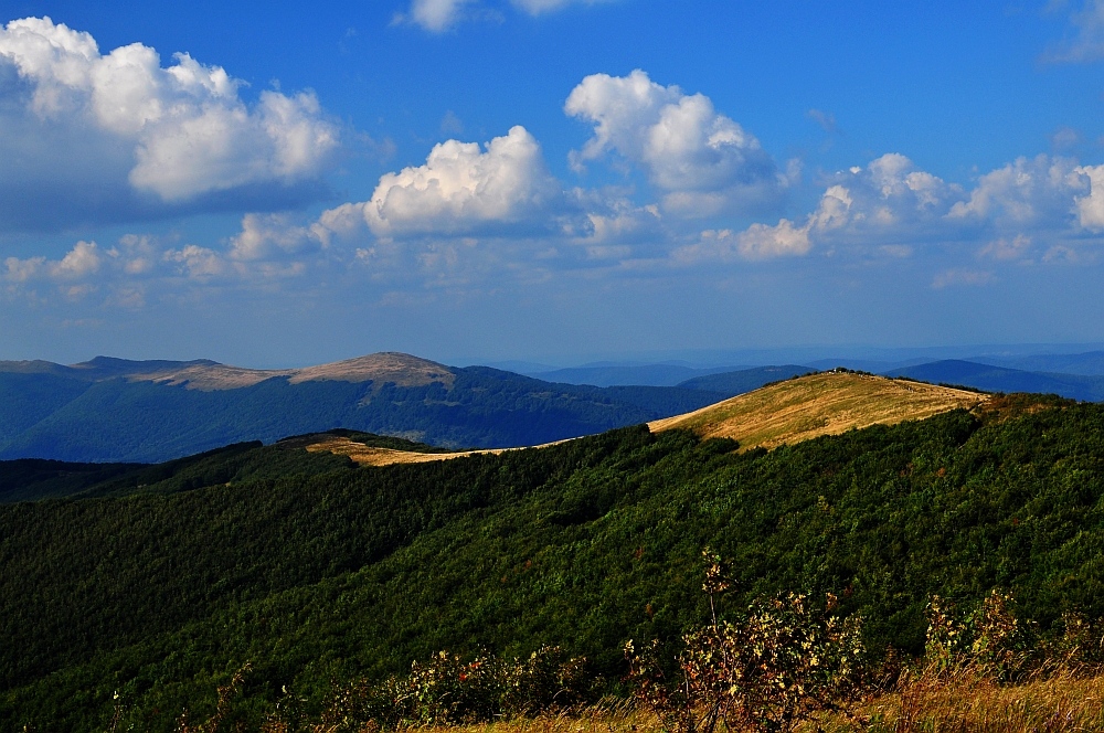 Bieszczady