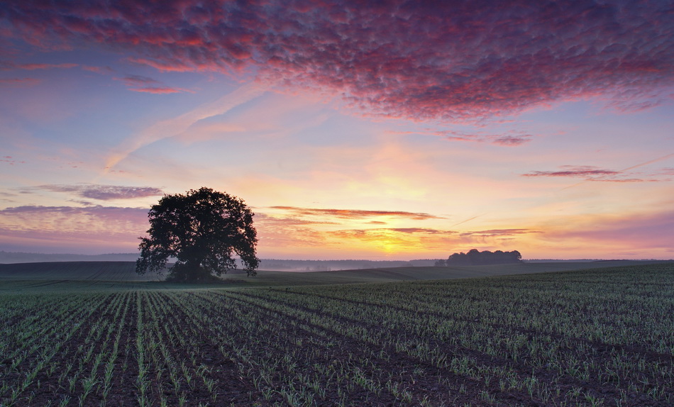 Ten seconds before sunrise