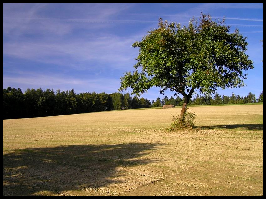 Wczesna jesień