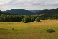 Z Przełęczy Hutniańskiej (Beskid Niski)