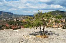 Parque Natural Montsant-Hiszpania