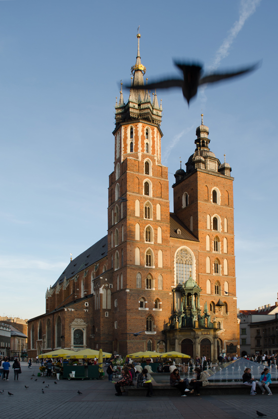 K. Mariacki