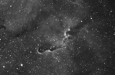 IC1396