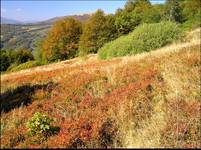 Bieszczady