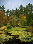 w jesiennym klimacie - Rogów Arboretum 2011